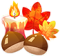 Cozy Fall Set icon.png